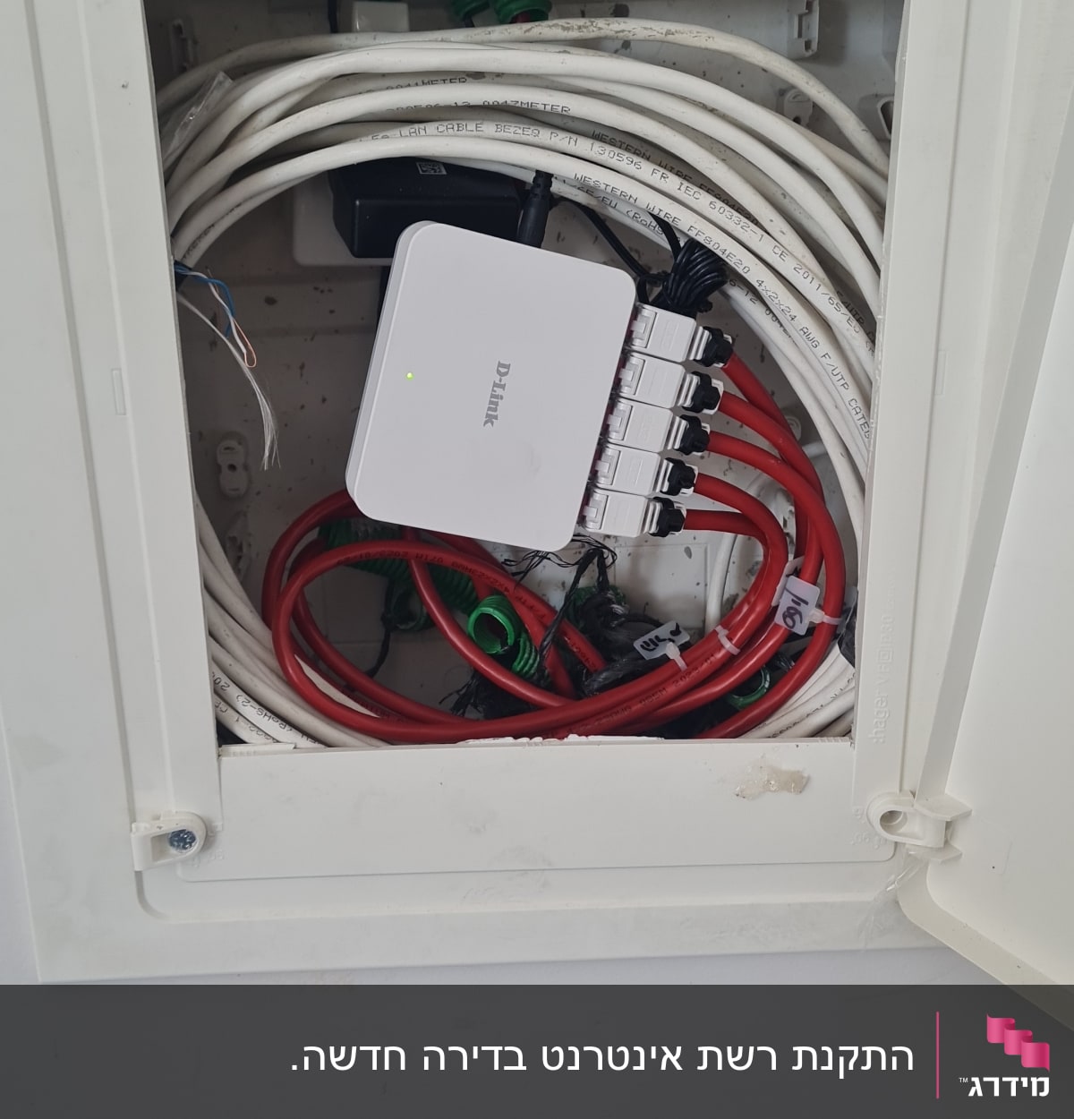 מתג רשת D-Link עם כבלים לבנים ואדומים